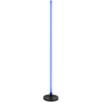 Grundig - LED RGB himmennettävä lattiavalaisin LED/5W/5V + kaukosäädin