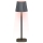 Grundig - RGB-LED himmennettävä kosketusohjattu pöytälamppu LED/5V 1200 mAh