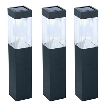 Grundig - SETTI 3x Aurinkolamppu 3xLED/1,2V 6,5x35,5cm