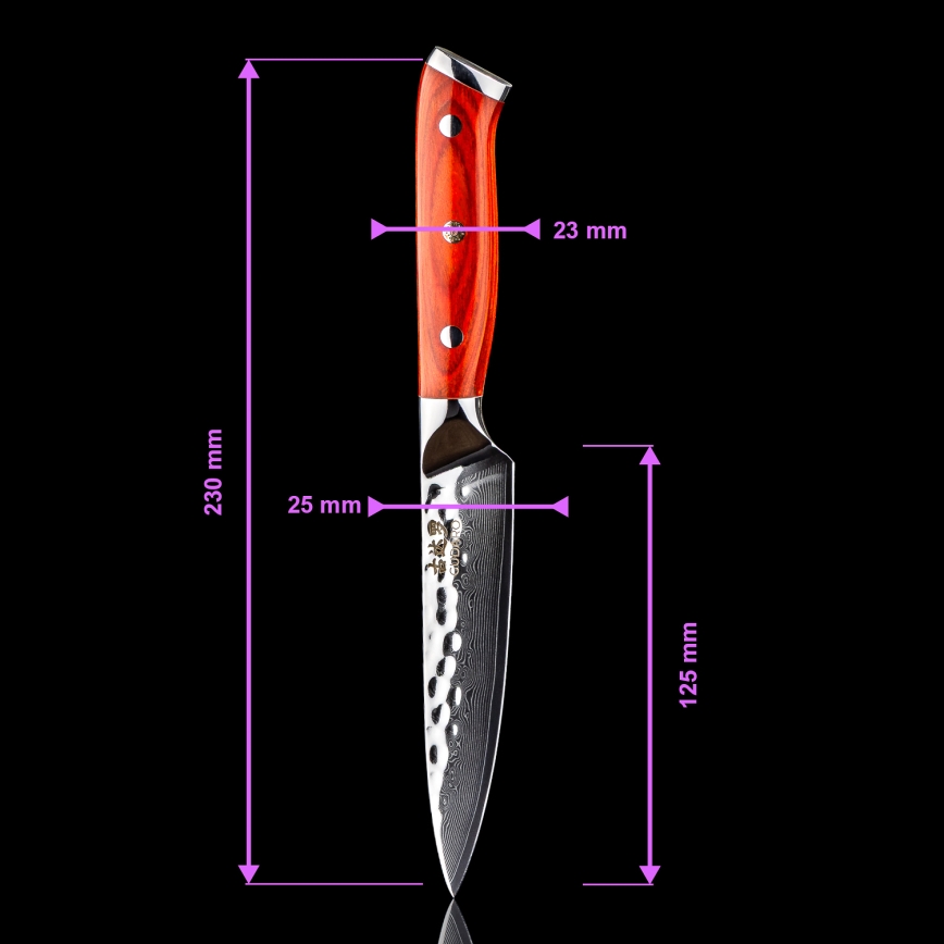 Gudaro - 5-osainen MIYABI damaskusteräksinen keittiöveitsisetti + magneettiteline