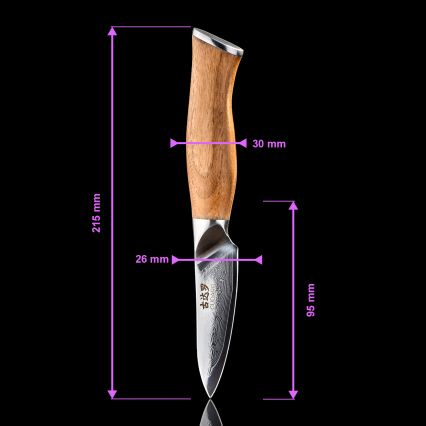 Gudaro - Damaskusteräinen keittiöveitsi TAKUMI 3,5, 67 kerrosta terästä, pituus 9,5 cm, saksanpähkinä