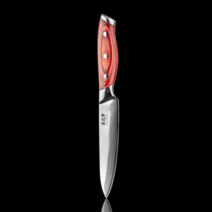 Gudaro - Damaskiteräinen monikäyttöinen keittiöveitsi KENSHO 5, 67 kerrosta terästä, pituus 12,5 cm