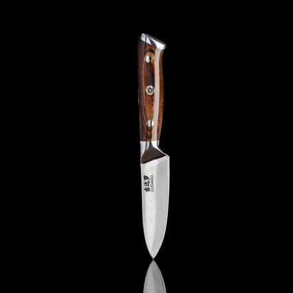 Gudaro - SETTI 1x damaskiteräinen kokkiveitsi FENG 8, 67 kerrosta terästä, pituus 20 cm + 1x damaskiteräinen Santoku-veitsi FENG 7,5, 67 kerrosta terästä, pituus 18 cm + 1x ILMAINEN damaskiteräinen keittiöveitsi FENG 3,5, 67 kerrosta terästä, pitu