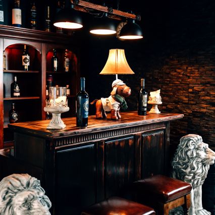 Happy Lamps - LED Lasten pöytävalaisin SPIKE LED/5,4W/230V metsästyskoira