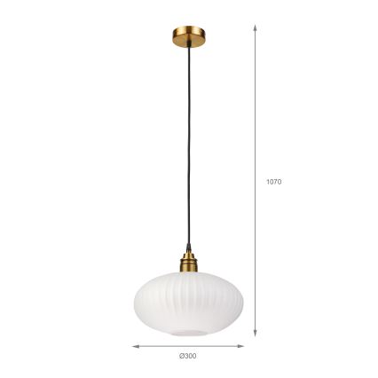HECTOR-riippuvalaisin ripustuskaapelilla 1xE27/15W/230V valkoinen/messinki, Ø 30 cm