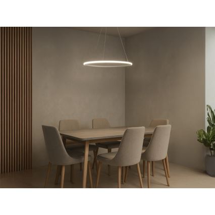 Himmennettävä LED-riippuvalaisin vaijerilla LED/32W/230V 3000-6500K halkaisija 60 cm + kaukosäädin