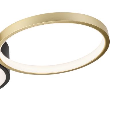 Himmennettävä ALIZEE LED-kattovalaisin/30W/230V 3000-6500K musta/kulta