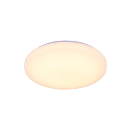 Himmennettävä LED-kattovalaisin ääniohjauksella OPAL LED/48W/230V 2700-6500K valkoinen + kauko-ohjaus