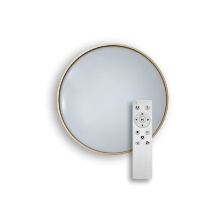 Himmennettävä LED-kattovalaisin DRINA LED/36W/230V 2700-6500K halkaisija 50 cm + kauko-ohjaus