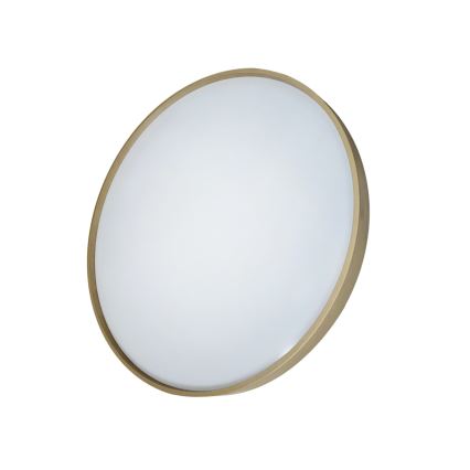 Himmennettävä LED-kattovalaisin DRINA LED/36W/230V 2700-6500K halkaisija 50 cm + kauko-ohjaus