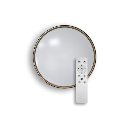 Himmennettävä LED-kattovalaisin EBRO LED/36W/230V 2700-6500K halkaisija 50 cm + kauko-ohjaus