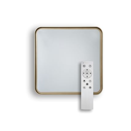 Himmennettävä LED-kattovalaisin UNA LED/60W/230V 2700-6500K 50x50 cm + kauko-ohjaus