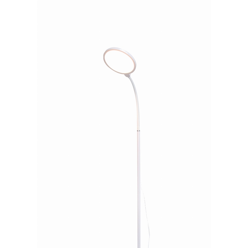 Himmennettävä LED-lattiavalaisin 2in1 LED/10W/230V valkoinen