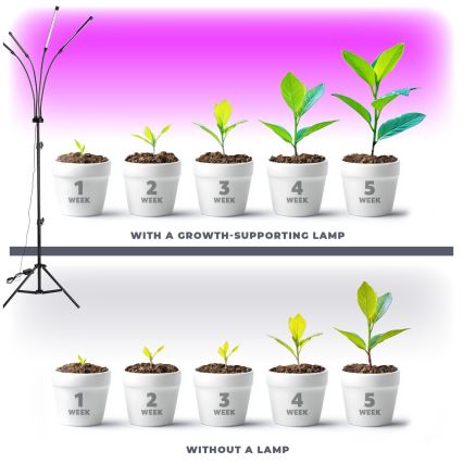 LED Himmennettävä flexible lattialamppu kasvien kasvattamiseen VITARO 4xLED/7,5W/230V musta