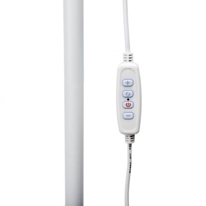 Himmennettävä LED-lattiavalaisin SIGNUS LED/10W/230V 3000/4500/6500K valkoinen