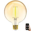 Himmennettävä LED-polttimo FILAMENT MESH Älykäs G125 E27/6W/230V 2700-6500K - Aigostar