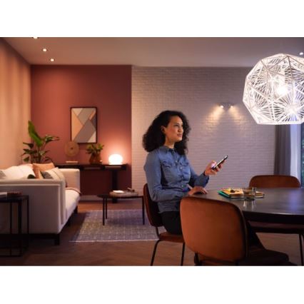 Himmennettävä LED-polttimo Philips Hue WHITE E27/9,5W/230V 2700K