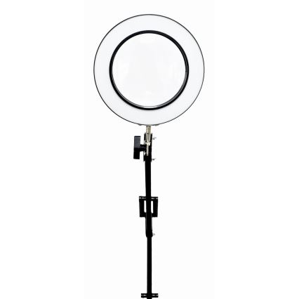 Himmennettävä LED-pöytävalaisin suurennuslasilla LED/10W/230V 3000/4500/6000K