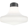 Ideal Lux - CLIO ulkokattovalaisin 1xE27/42W/230V IP44 antrasiitti