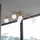 Ideal Lux - Kiinteä LED-kattokruunu ATLAS 5xG9/3W/230V kulta