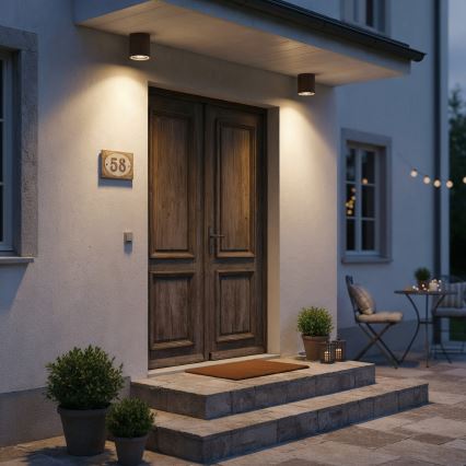 Ideal Lux - Kylpyhuoneen kohdevalo GUN 1xGU10/28W/230V IP55 ruskea