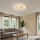 Ideal Lux - LED-himmennettävä kattovalaisin OZ LED/48W/230V halkaisija 60 cm CRI 90 valkoinen