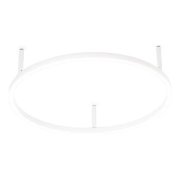 Ideal Lux - LED-kattovalaisin ORACLE SLIM LED/29W/230V 4000K halkaisija 50 cm valkoinen