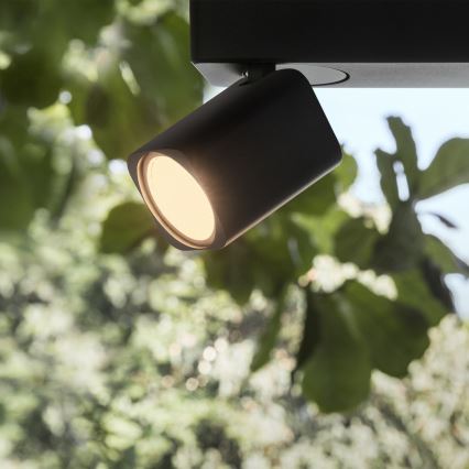Ideal Lux - LED-kohdevalaisin RUDY 3xGU10/7W/230V CRI 90 musta