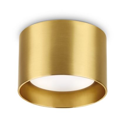 Ideal Lux - LED-kohdevalaisin SPIKE 1xGX53/9W/230V kulta