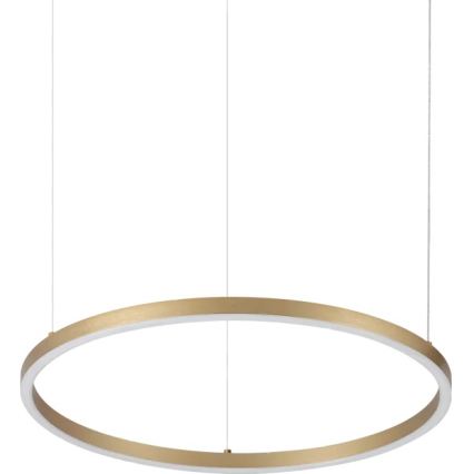 Ideal Lux - LED-riippuvalaisin vaijerilla ORACLE SLIM LED/29W/230V 3000K CRI 90 halkaisija 50 cm kultainen
