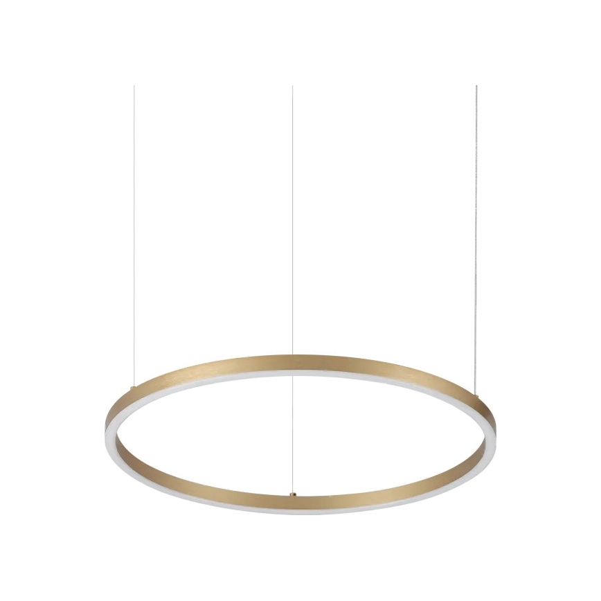 Ideal Lux - LED-riippuvalaisin vaijerilla ORACLE SLIM LED/29W/230V 3000K CRI 90 halkaisija 50 cm kultainen