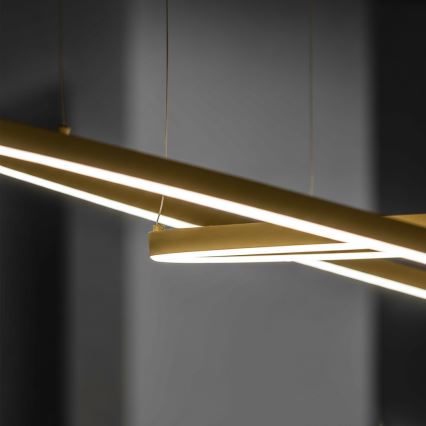 Ideal Lux - LED-riippuvalaisin vaijerilla ORACLE SLIM LED/29W/230V 3000K CRI 90 halkaisija 50 cm kultainen