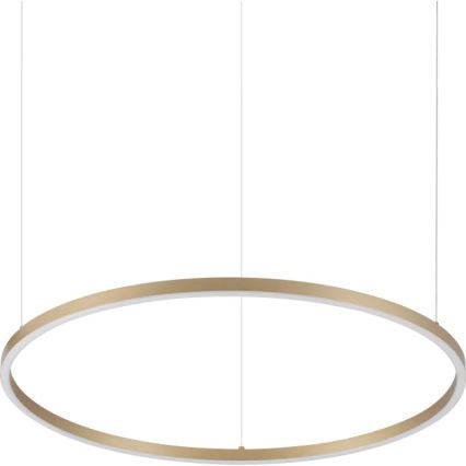 Ideal Lux - ORACLE SLIM LED-kattokruunu kaapelilla, 37W/230V, 3000K, CRI 90, Ø 70 cm, kultainen