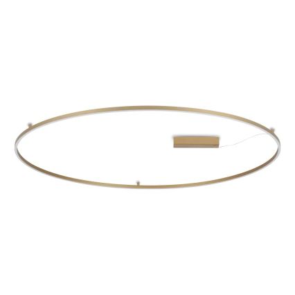 Ideal Lux - LED-kattovalaisin ORACLE SLIM LED/81W/230V 3000K CRI 90 Ø 150 cm kullanvärinen