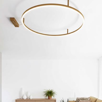 Ideal Lux - LED-kattovalaisin ORACLE SLIM LED/81W/230V 3000K CRI 90 Ø 150 cm kullanvärinen