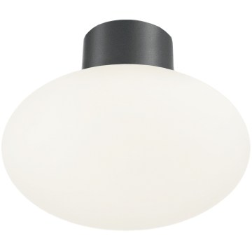 Ideal Lux - Ulkokattoon asennettava valaisin CLIO 1xE27/42W/230V Ø 28 cm IP44 antrasiitti