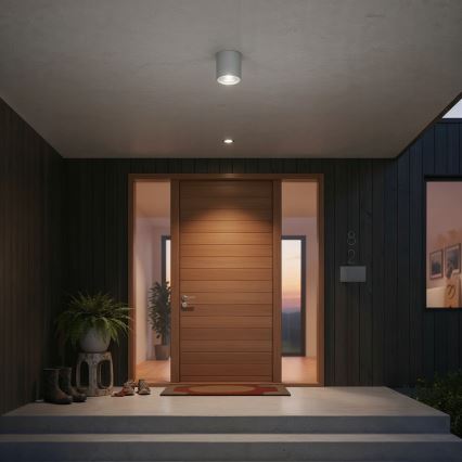 Ideal Lux - Ulkokohdevalaisin GUN 1xGU10/28W/230V IP55 harmaa