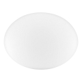 Ideal Lux - Universaali vaihtovarjostin NINFEA Ø 25 cm, valkoinen