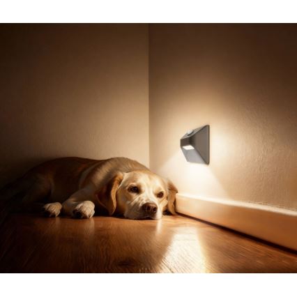 Ladattava LED-portaiden valaisin liiketunnistimella ja hämäräkytkimellä STEP LIGHT LED/0,3W/3,7V 2200 mAh IP53 harmaa