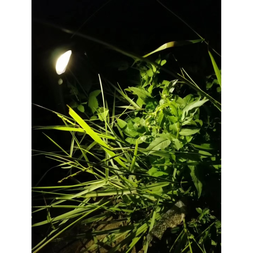 LED aurinkokennovalo sensorilla LED/1W/3,7V 6000K IP65 1500 mAh