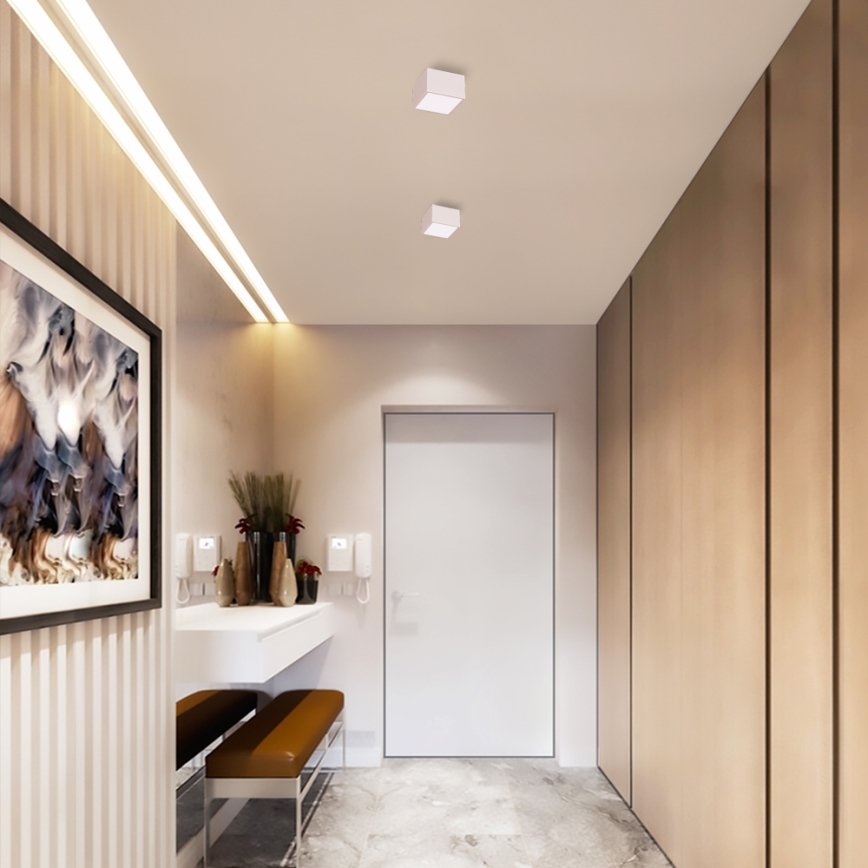 Immax NEO 07072L-15 - LED Himmennysvalo CANTO LED/12W/230V valkoinen Tuya