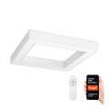 Immax NEO 07072L - Himmennettävä LED-kattovalaisin CANTO LED/60W/230V 80x80 cm Tuya