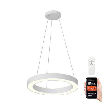 Immax NEO 07091L - LED himmennettävä kattovalaisin köydellä PASTEL LED/52W/230V 60 cm valkoinen Tuya + kaukosäädin
