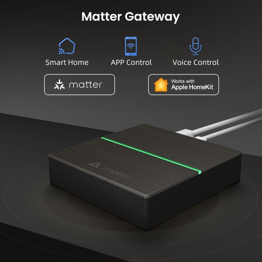 Immax NEO 07117-5 - Matter-silta, älykäs Zigbee 3.0, 230 V, Wi-Fi
