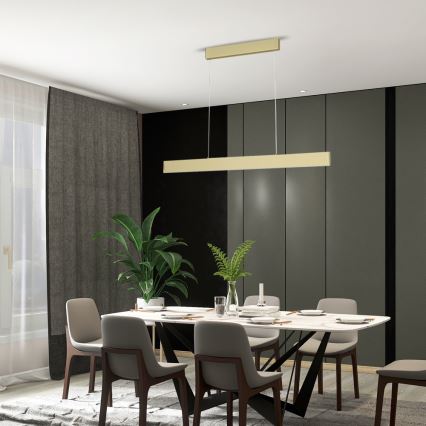 Immax Neo 07128L - LED  Himmennettävä kattokruunu johdossa LISTON kulta LED/18W/230V ZigBee + kauko-ohjaus Tuya