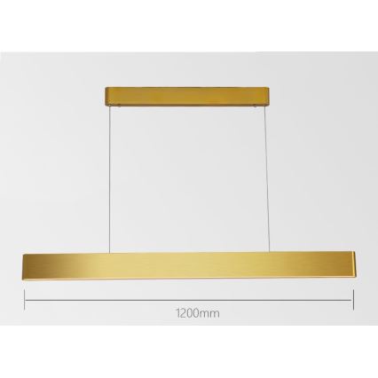 Immax NEO 07157-G120X - LED RGB+CCTW Himmennettävä kattokruunu johdossa MILANO LED/40W/230V Tuya kulta