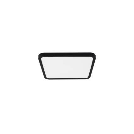 Immax NEO 07167-B40 - LED RGB+CCT himmennettävä kattovalaisin NEO LITE TUDO LED/50W/230V Wi-Fi Tuya musta + kaukosäädin