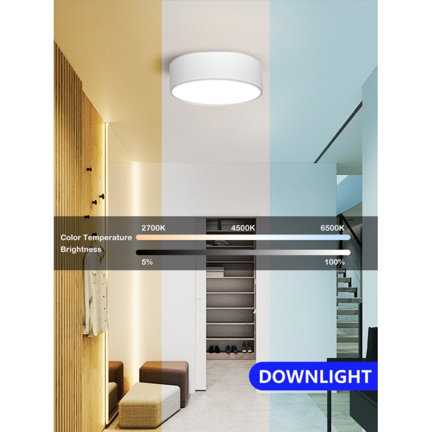 Immax NEO 07204L - Himmennettävä LED-kattovalaisin RONDATE LED/18W/230V 3000-6000K valkoinen Tuya + kauko-ohjaus