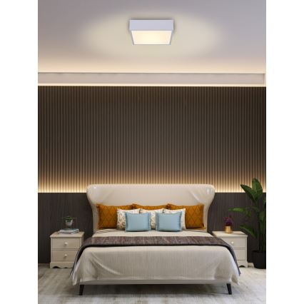 Immax NEO 07238L - himmennettävä LED-kattovalaisin CANTO LED/22W/230V valkoinen Tuya + kaukosäädin