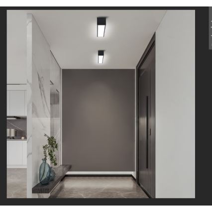 Immax NEO 07254L - himmennettävä LED-kattovalaisin NEO LITE LUNGO LED/20W/230V 3000-6000K Wi-Fi Tuya musta + kaukosäädin